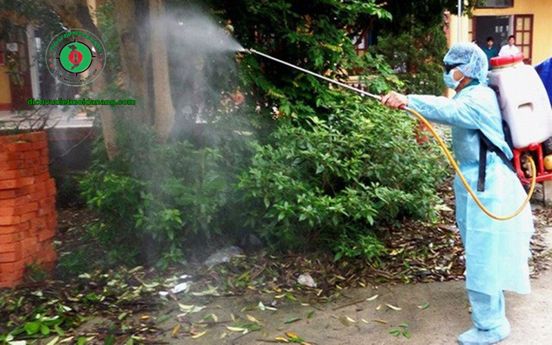 Quy trình phun thuốc diệt muỗi