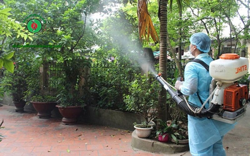 Diệt mối Đan Nhiên đơn vị chuyên phun thuốc diệt muỗi uy tín tại Đà Nẵng